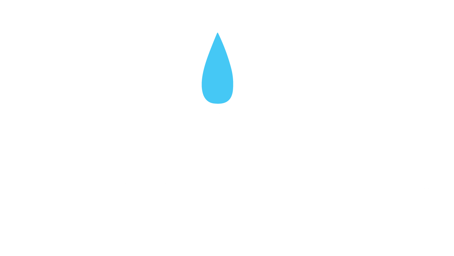 logohvid